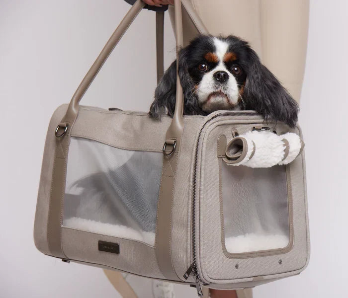 How to Carry a Large Dog: A Comprehensive Guide