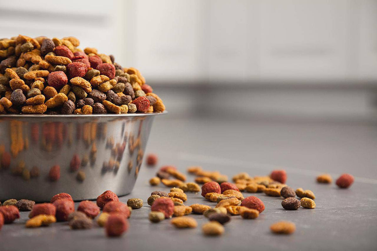 Is First Mate Dog Food Good? A Comprehensive Review