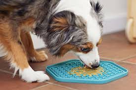 What Food to Put on a Dog Lick Mat: Delicious and Nutritious Options