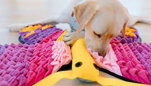 How to Choose the Right Size Pet Feeding Mat for Your Pet?