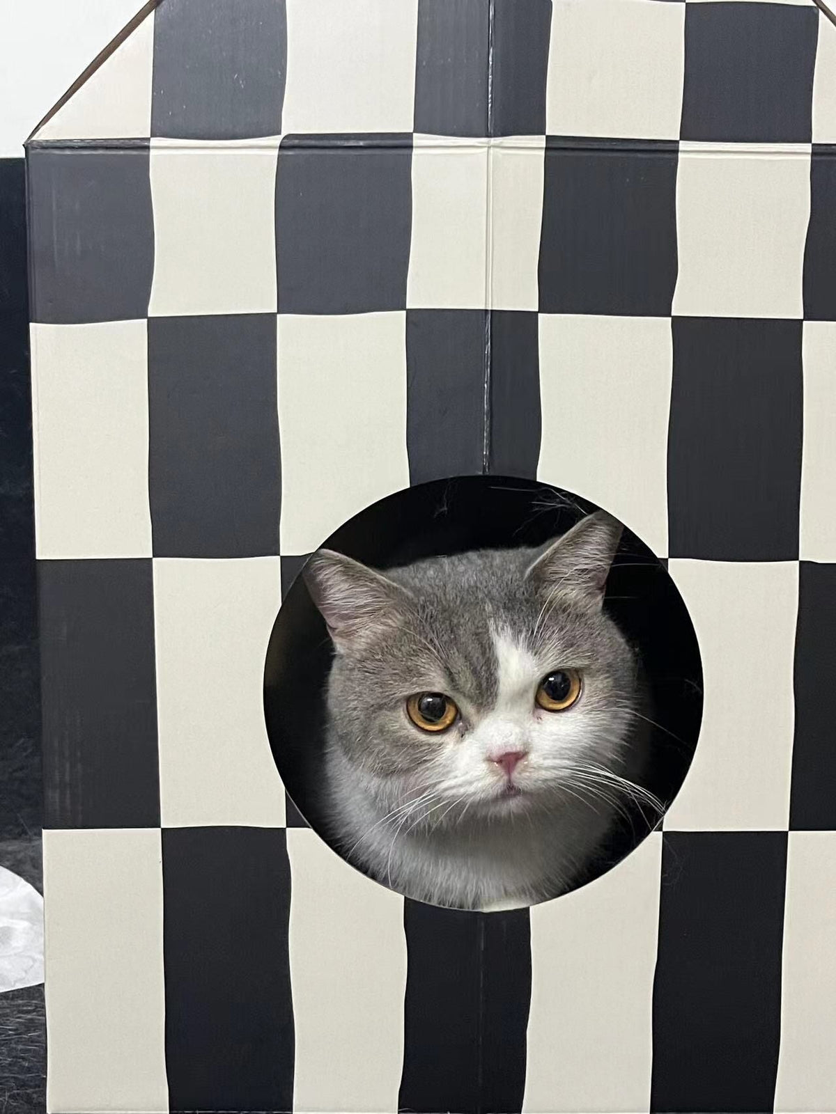 Cardboard Cat Scratchers: More Than Just a Toy