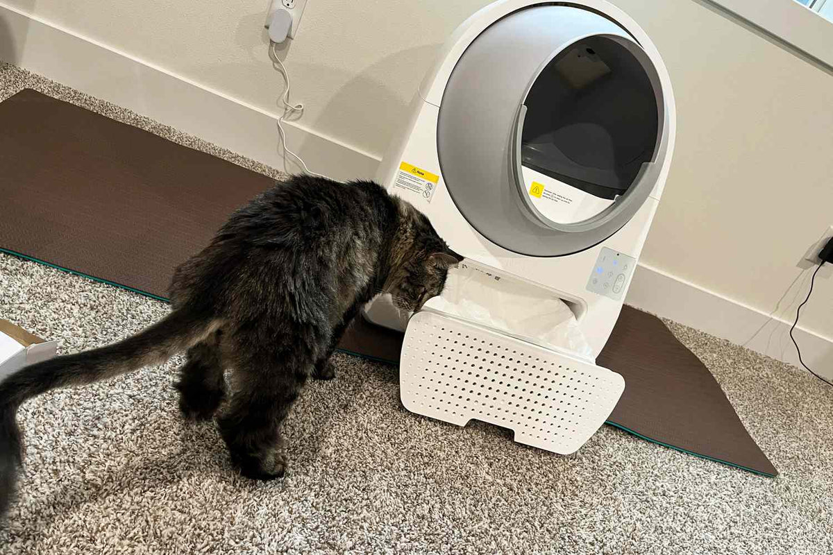 What Are the Eco-Friendly Options for Cat Litter Mats?