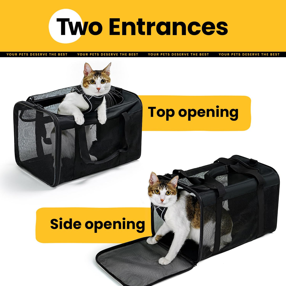 Classic Mesh Pet Carrier