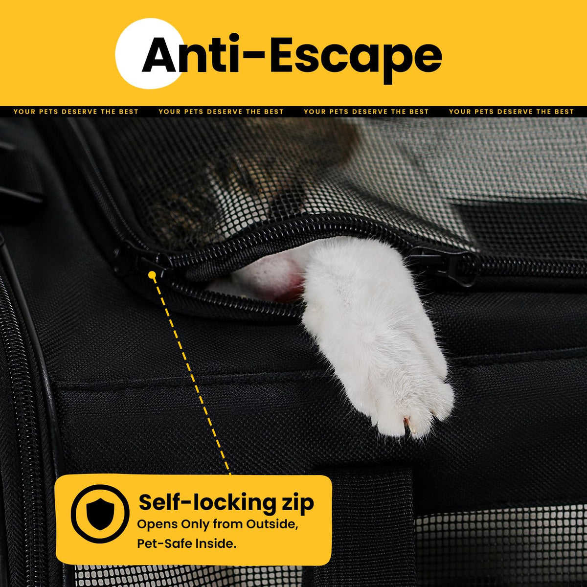 Classic Mesh Pet Carrier
