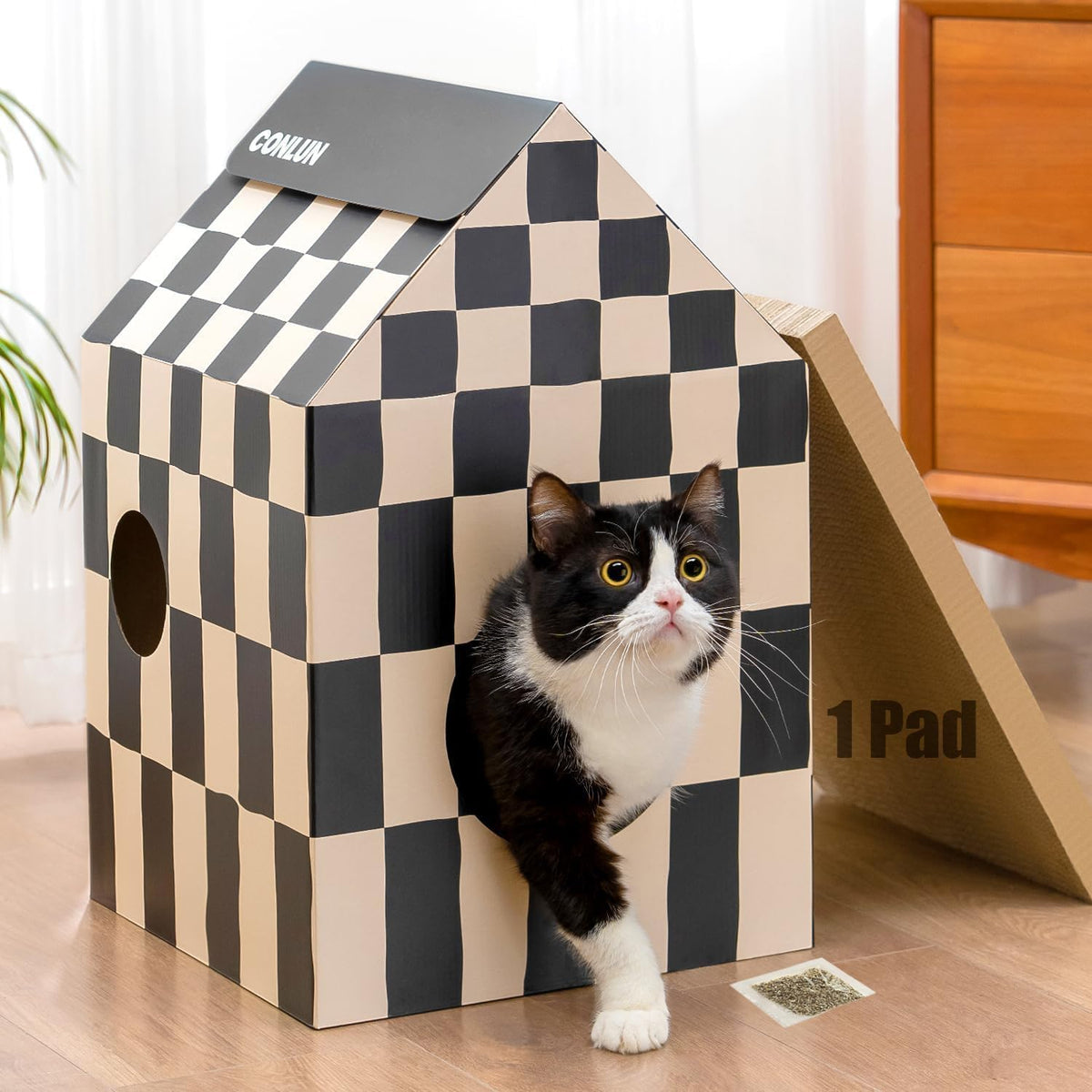 Cat Scratcher House