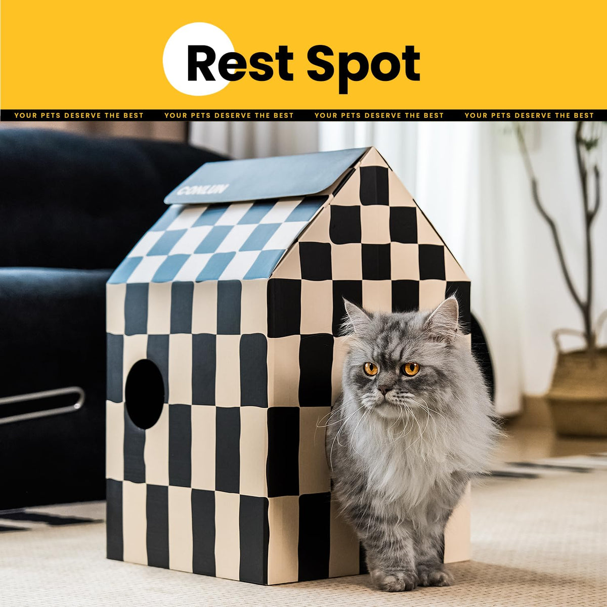 Cat Scratcher House