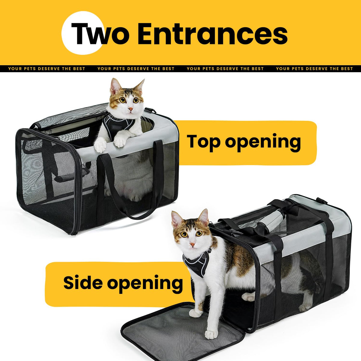 Classic Mesh Pet Carrier