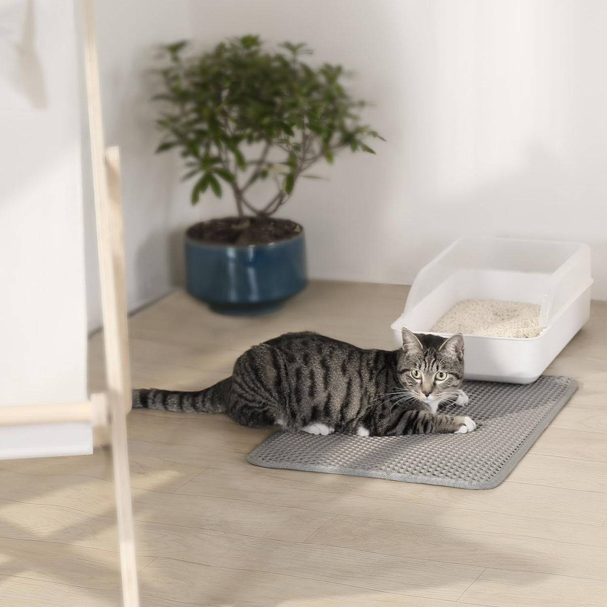 EVA Waterproof Double-Layer Cat Litter Mat with Raised Front Lip