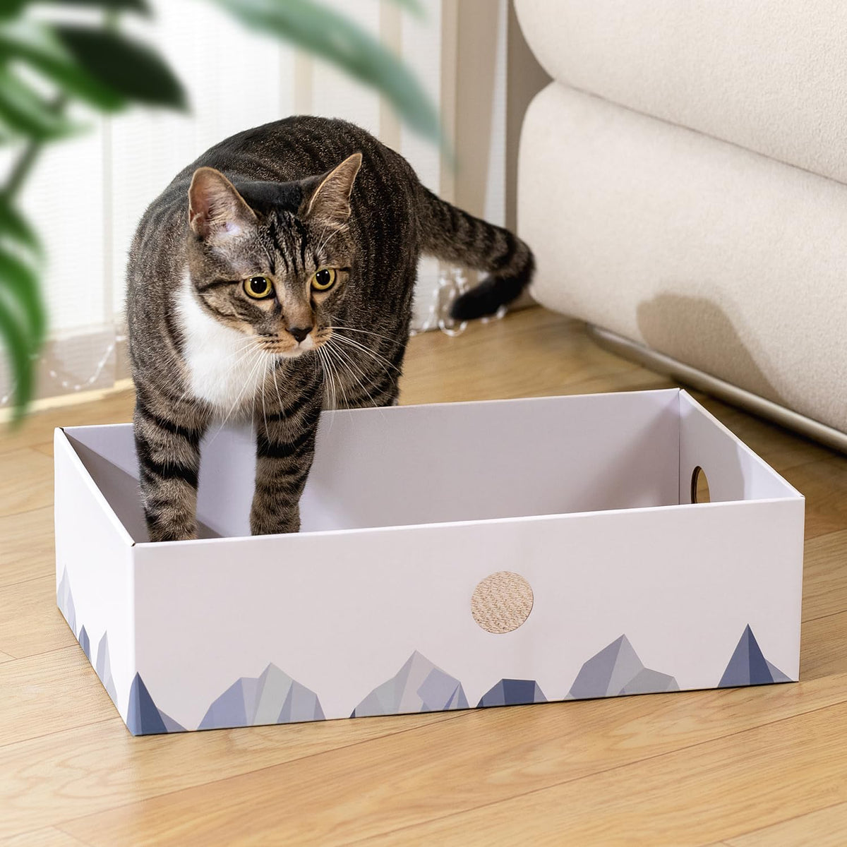 Cat Scratcher Box