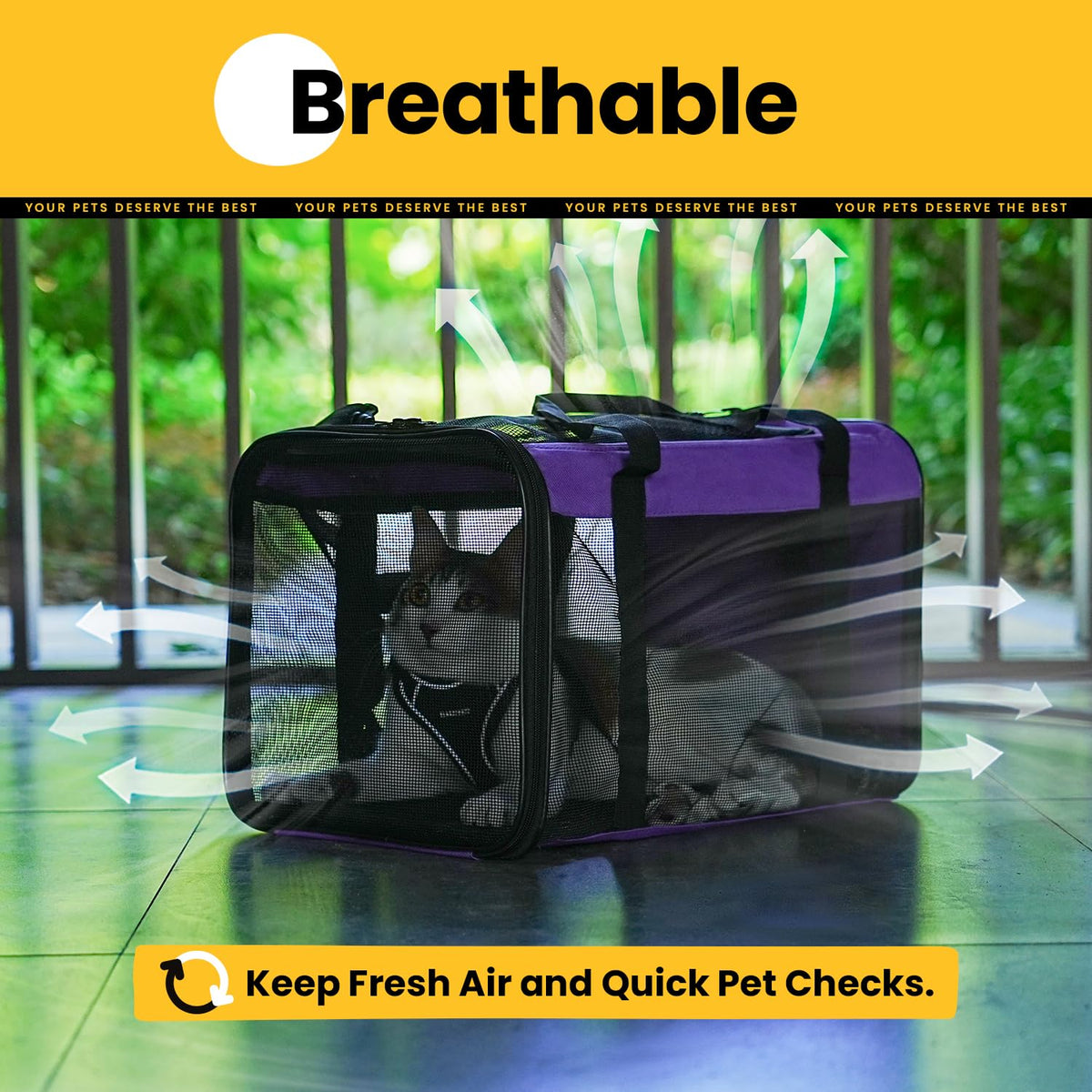 Classic Mesh Pet Carrier