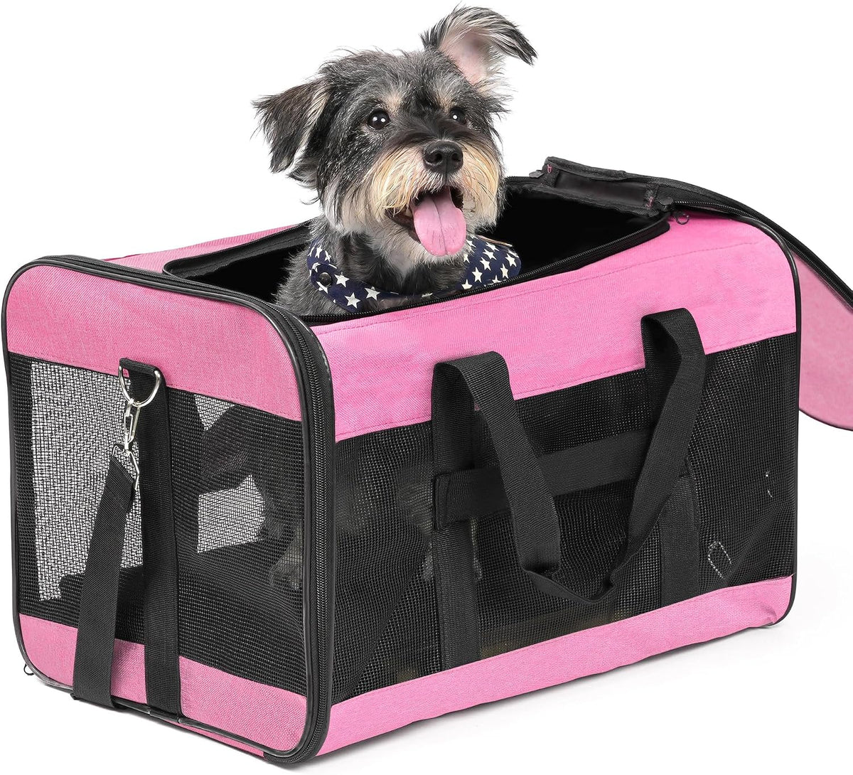 Soft-Sided Mesh Pet Carrier