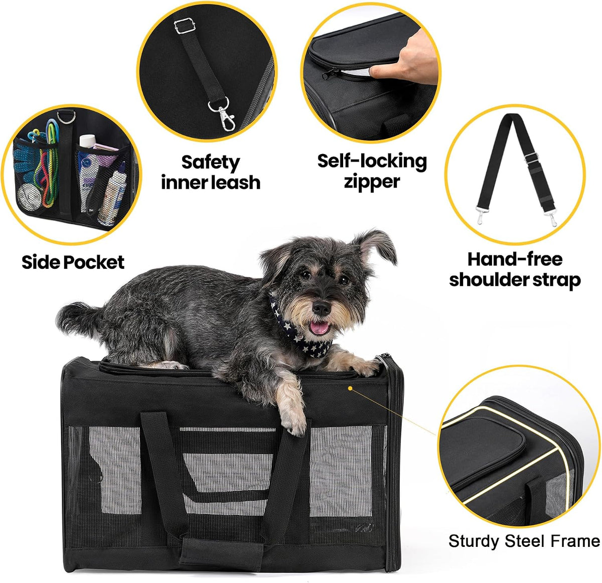Soft-Sided Mesh Pet Carrier