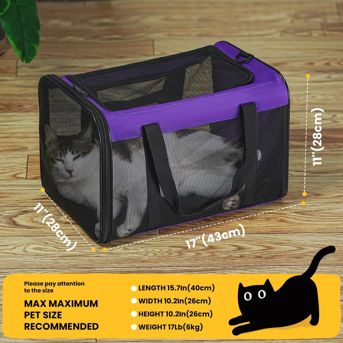 Classic Mesh Pet Carrier