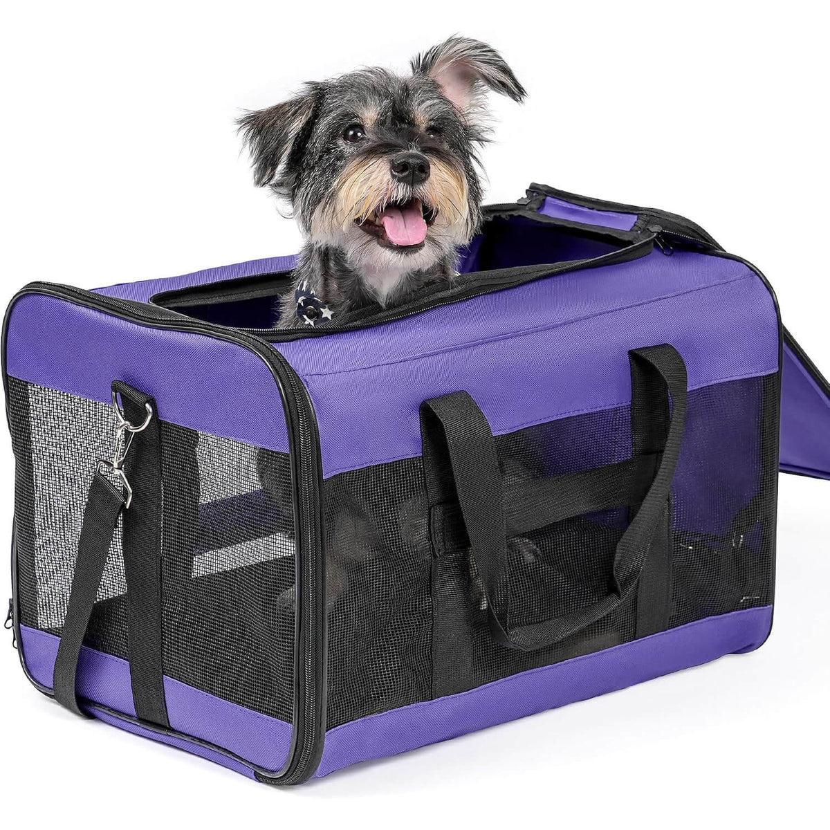 Soft-Sided Mesh Pet Carrier