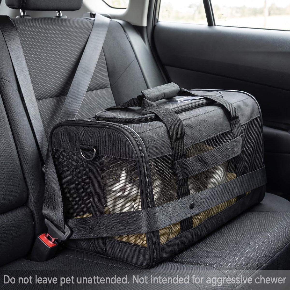 Soft-Sided Mesh Pet Carrier