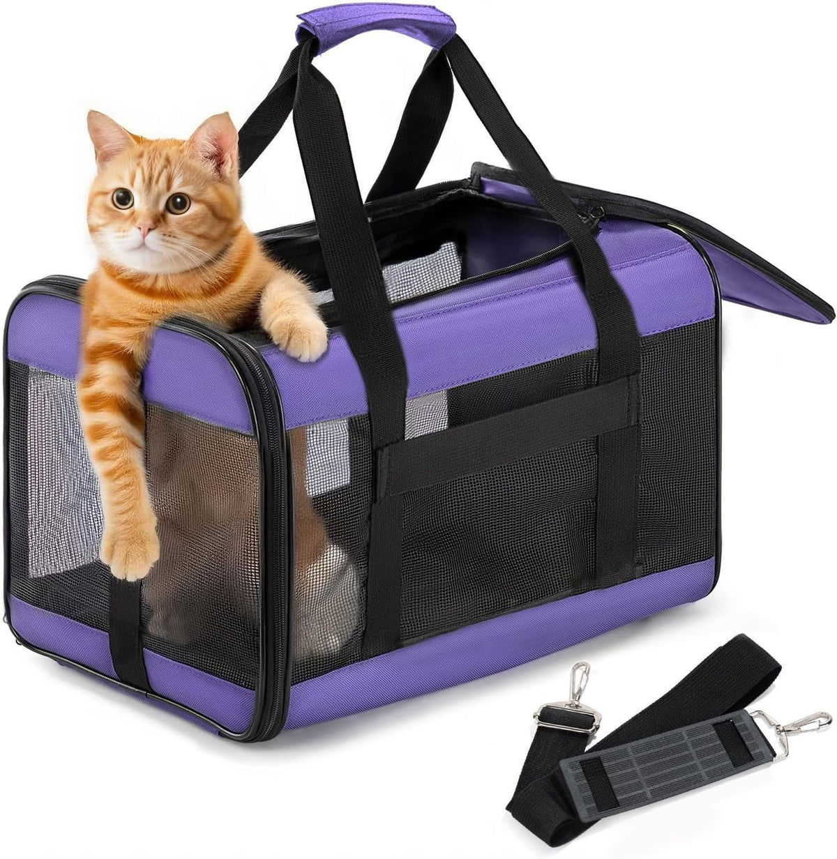 Soft-Sided Mesh Pet Carrier