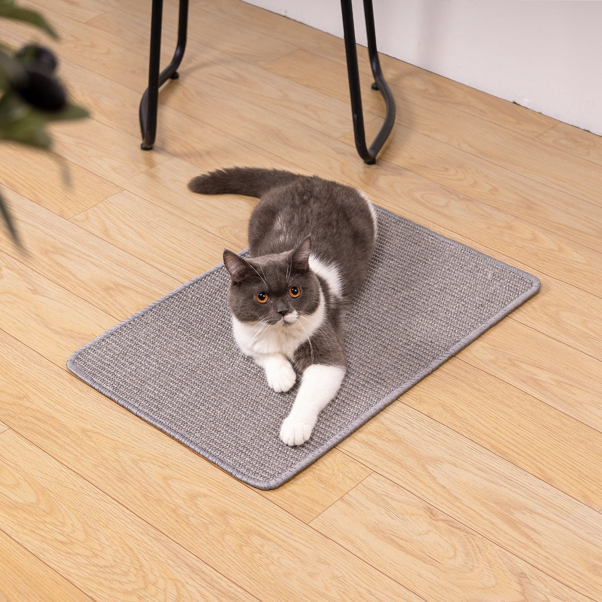 How Do You Maintain a Natural Sisal Cat Scratch Pad?