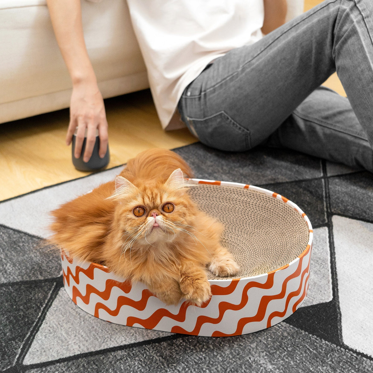 Unleashing Variety: Exploring the Diverse World of Cat Scratcher Cardboard Designs