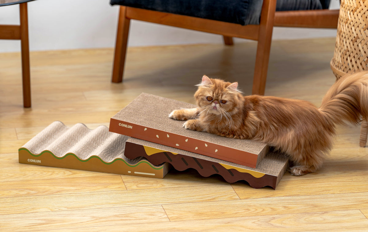 Paws and Crafts: DIY Cat Scratchers for Happy Cats and Happy Wallets