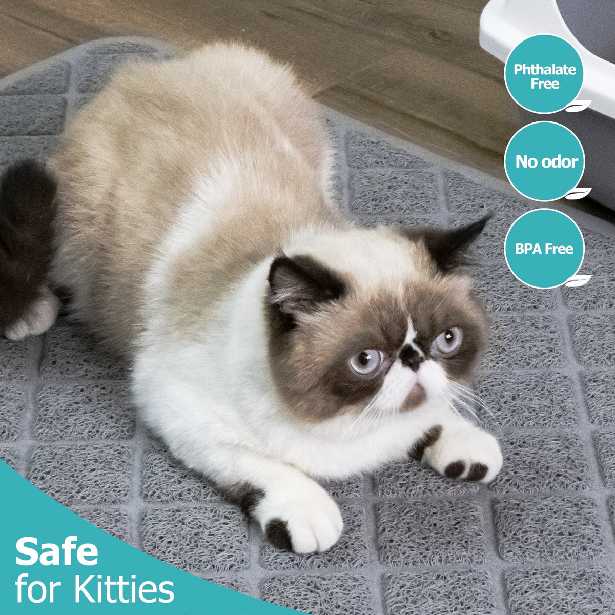 Choosing the Best Cat Litter Mat: A Comprehensive Guide