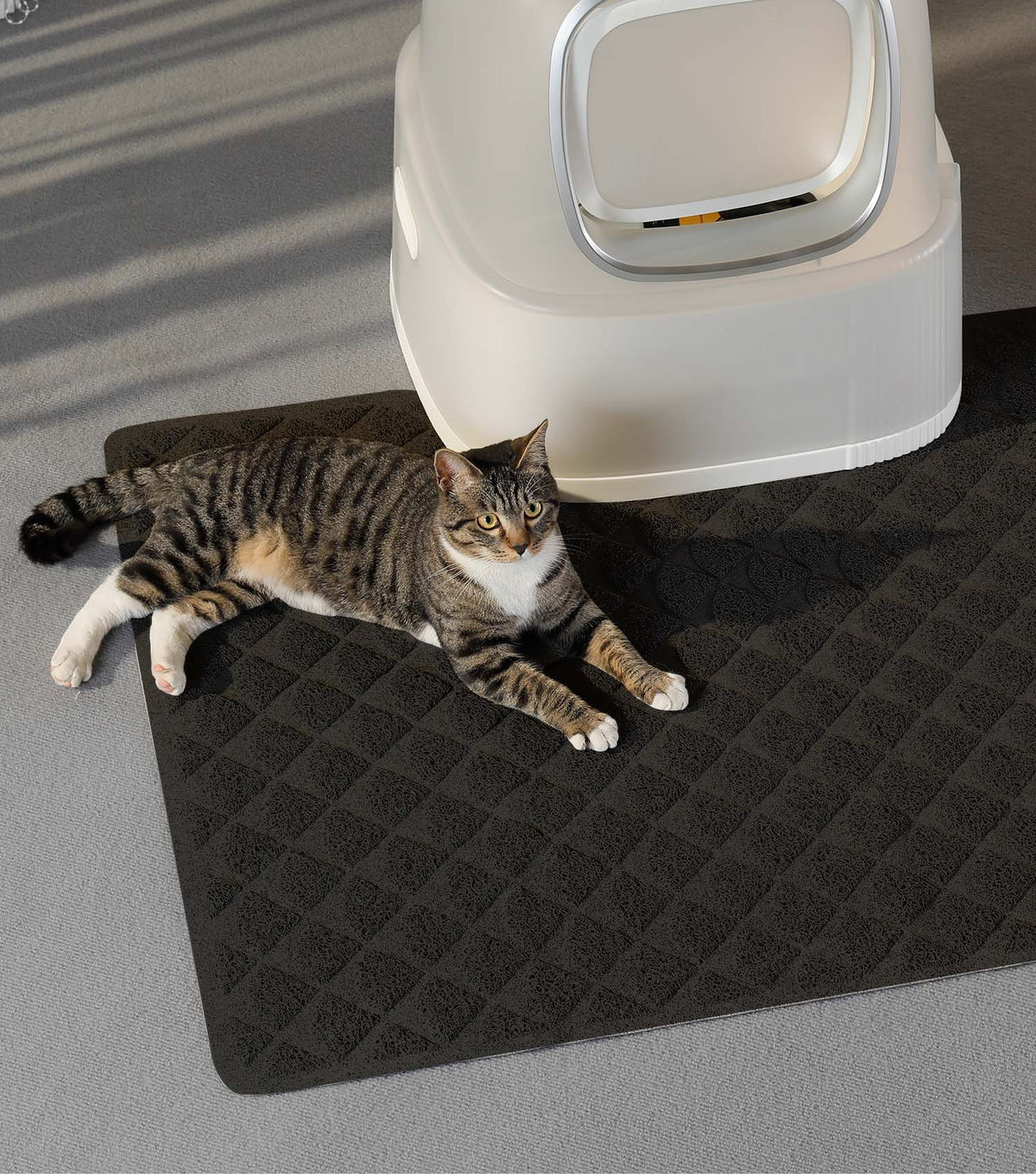 Do Cat Litter Mats Prevent Odor?