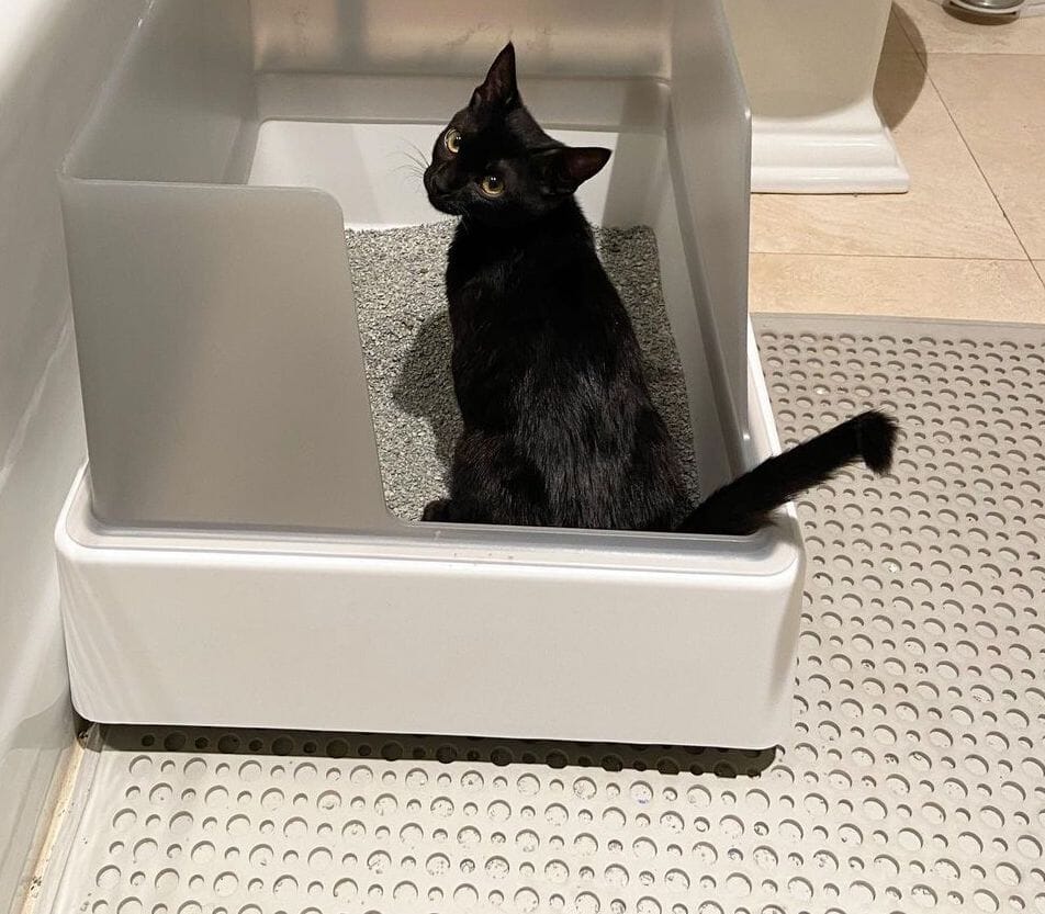 How Do Cat Litter Mats Help Reduce Odors in Your Home?