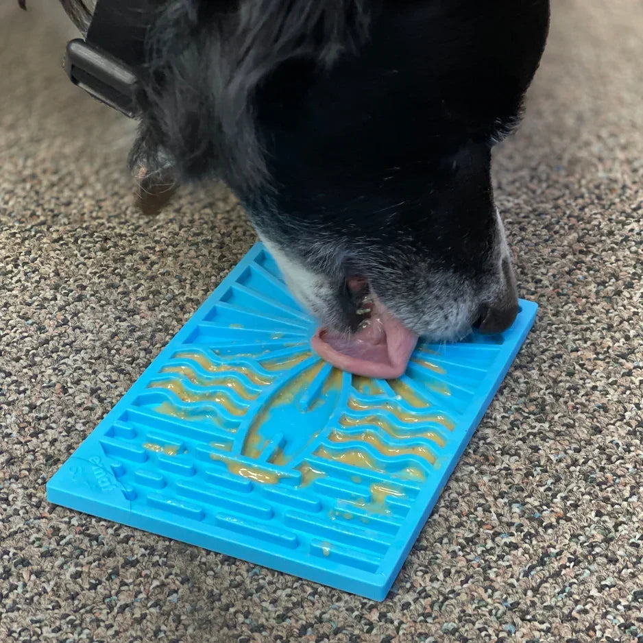 How Can a Pet Feeding Mat Benefit Your Pet’s Health and Hygiene?