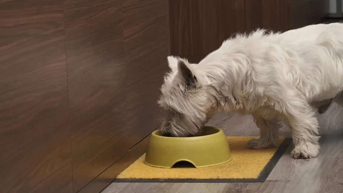 How Can a Pet Feeding Mat Improve Your Pet’s Eating Habits?