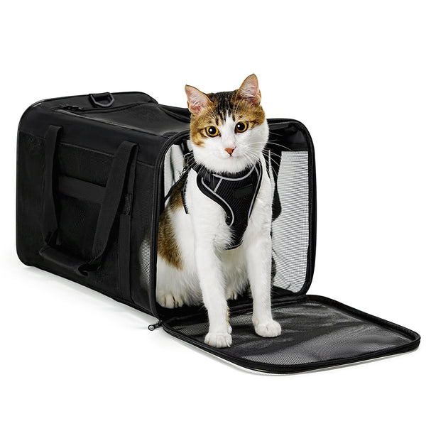 Pet Carrier Small (Up To 6KG)丨Soft-Sided Cat Carrier丨Pet Transport Carrier丨Collapsible Travel丨Kitten Carrier Bag