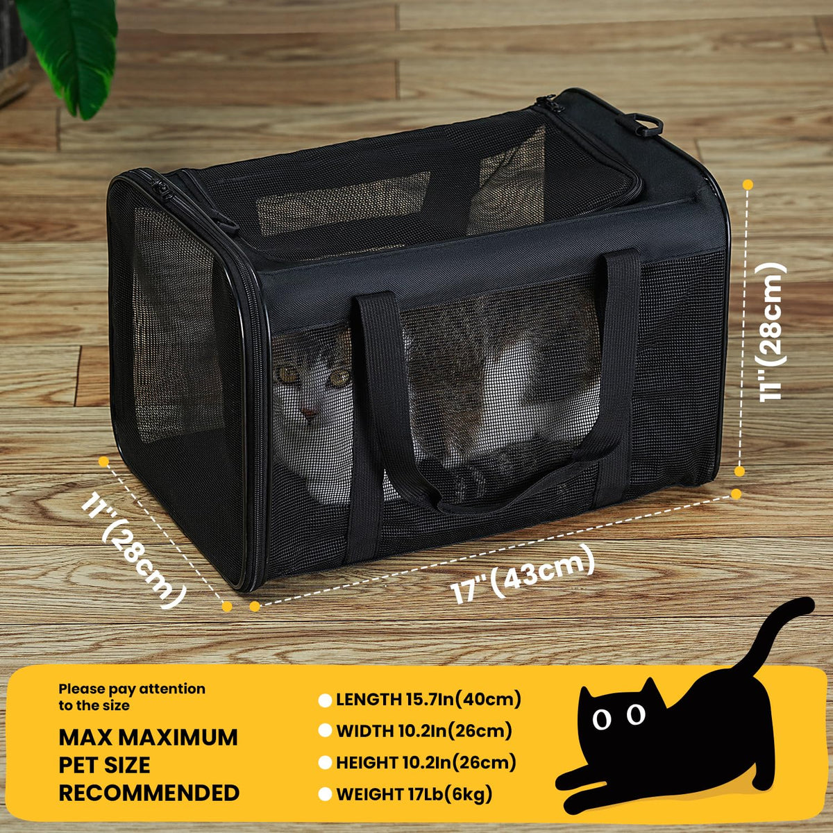 Classic Mesh Pet Carrier