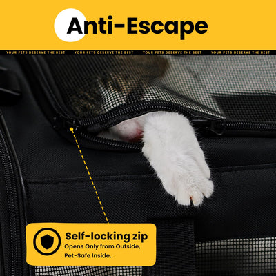 Classic Mesh Pet Carrier