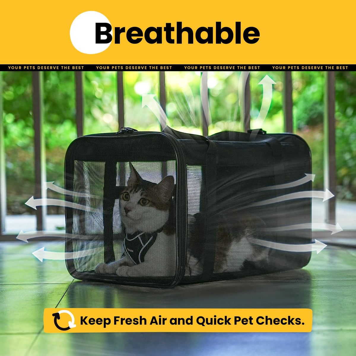Classic Mesh Pet Carrier