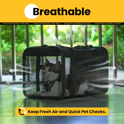 Classic Mesh Pet Carrier