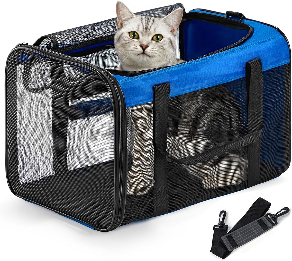 Classic Mesh Pet Carrier