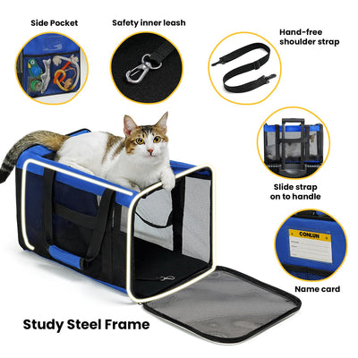 Classic Mesh Pet Carrier