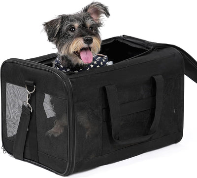 Soft-Sided Mesh Pet Carrier