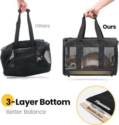 Soft-Sided Mesh Pet Carrier