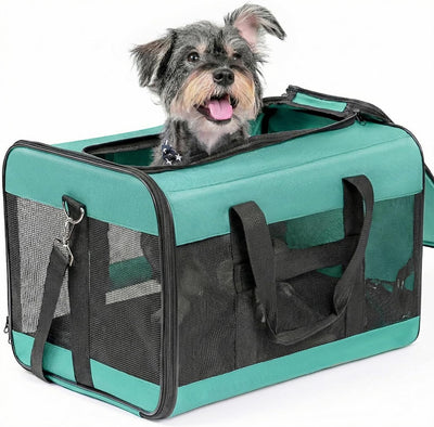 Soft-Sided Mesh Pet Carrier