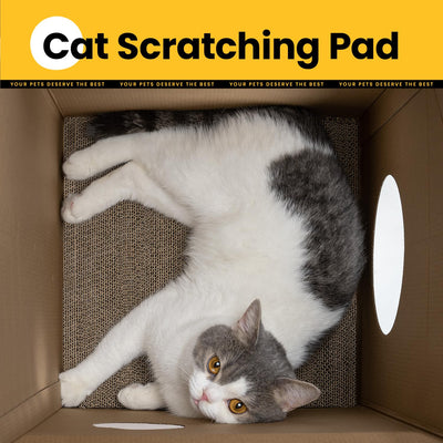 Cat Scratcher House
