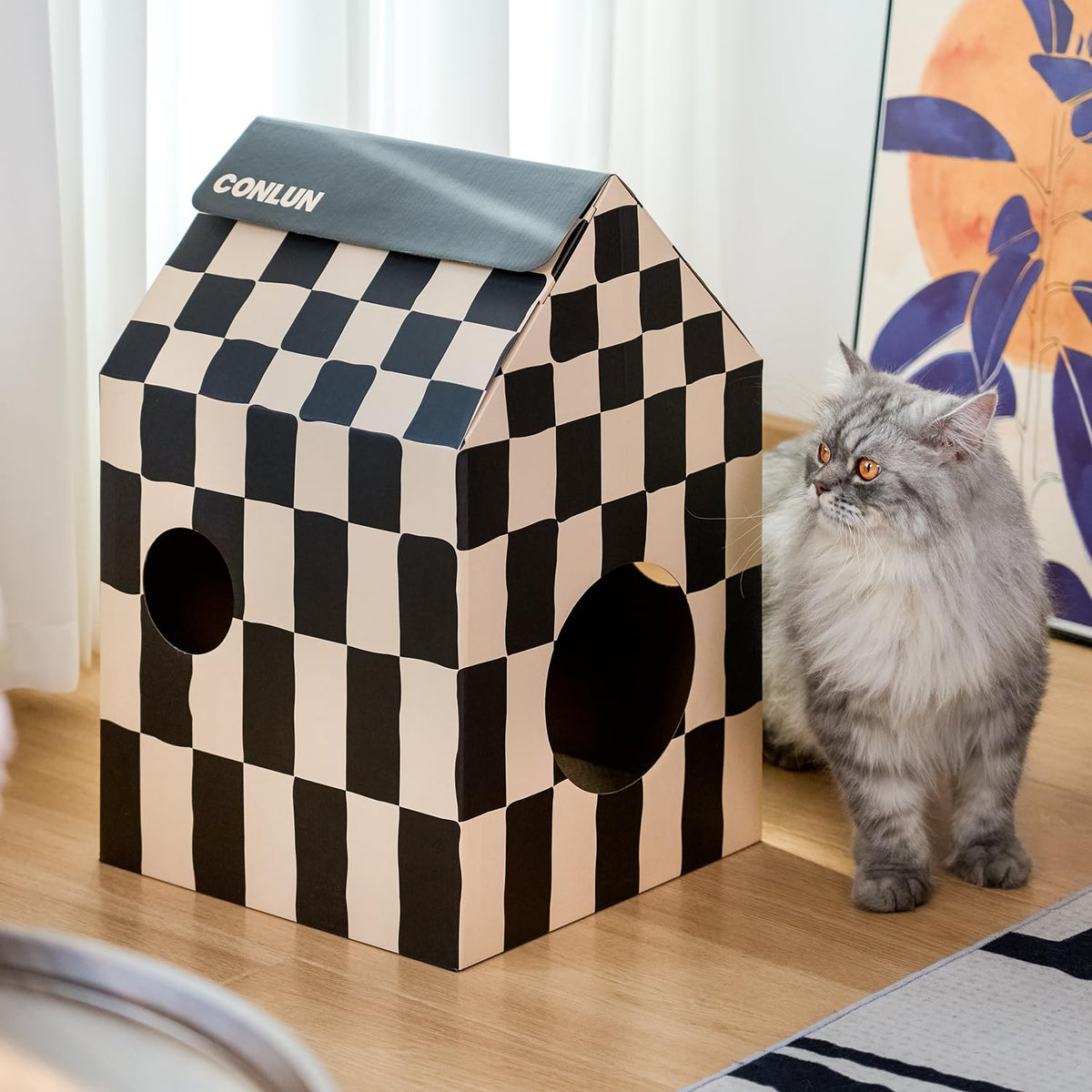 Cat Scratcher House