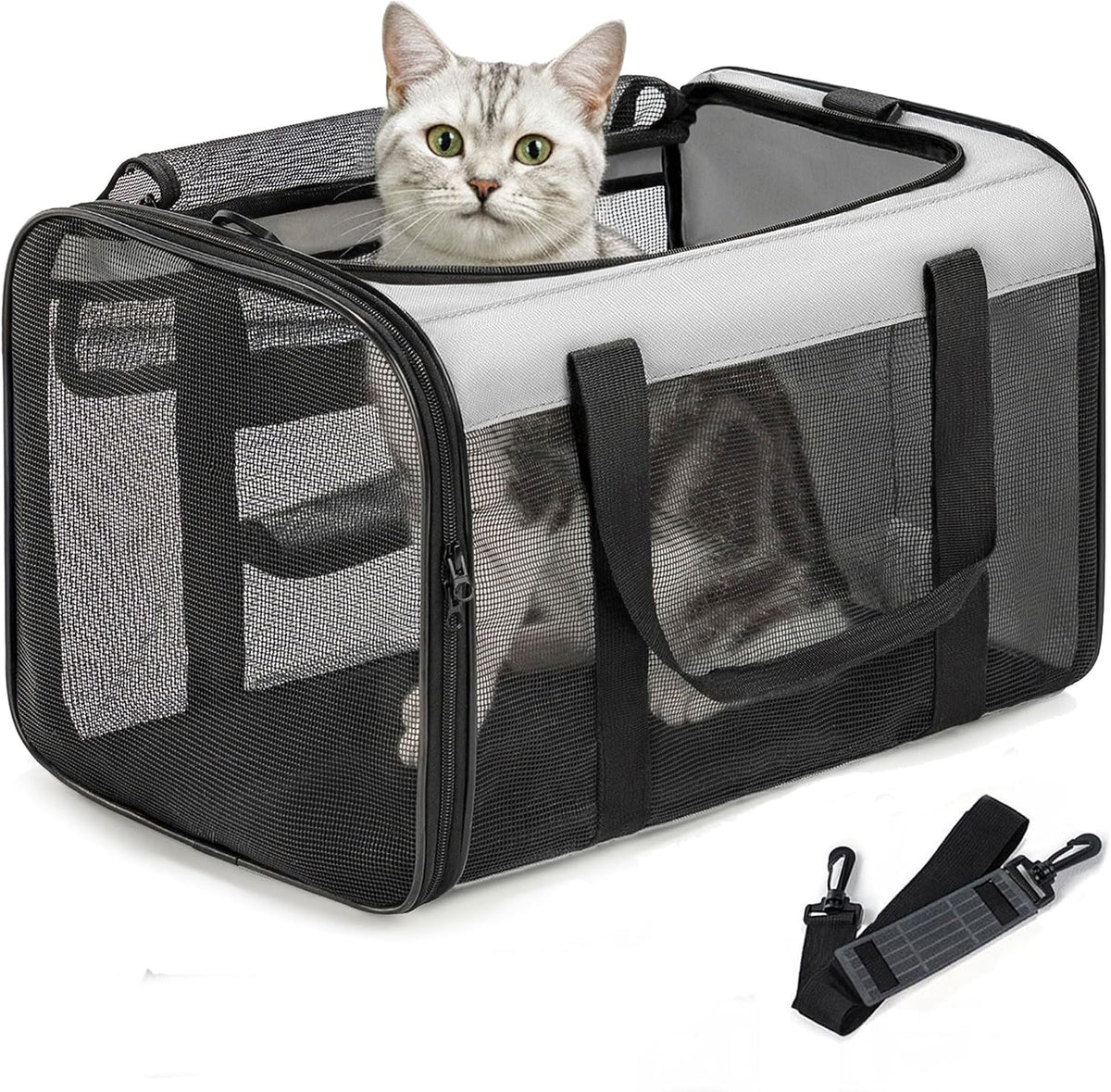 Classic Mesh Pet Carrier