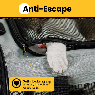 Classic Mesh Pet Carrier