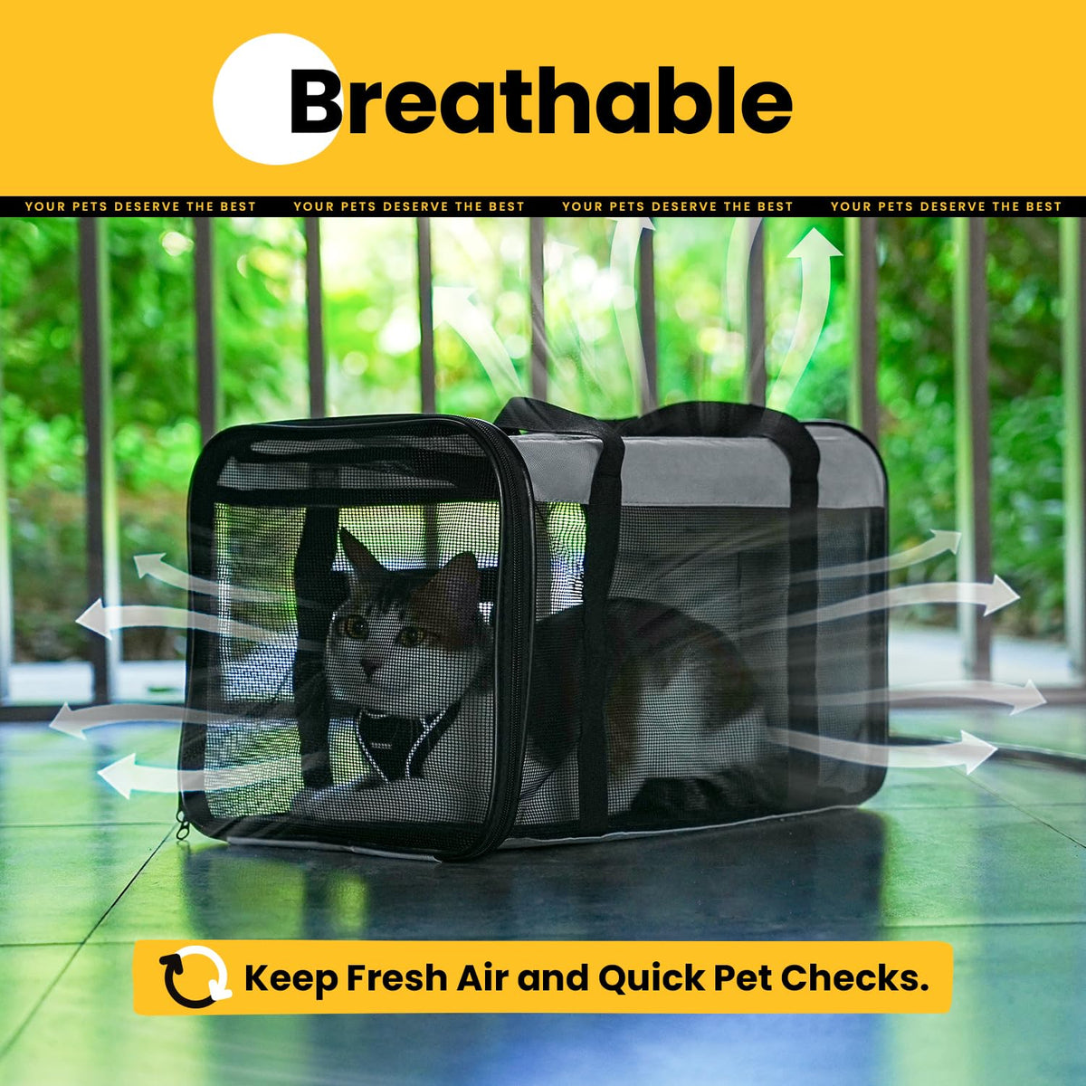 Classic Mesh Pet Carrier