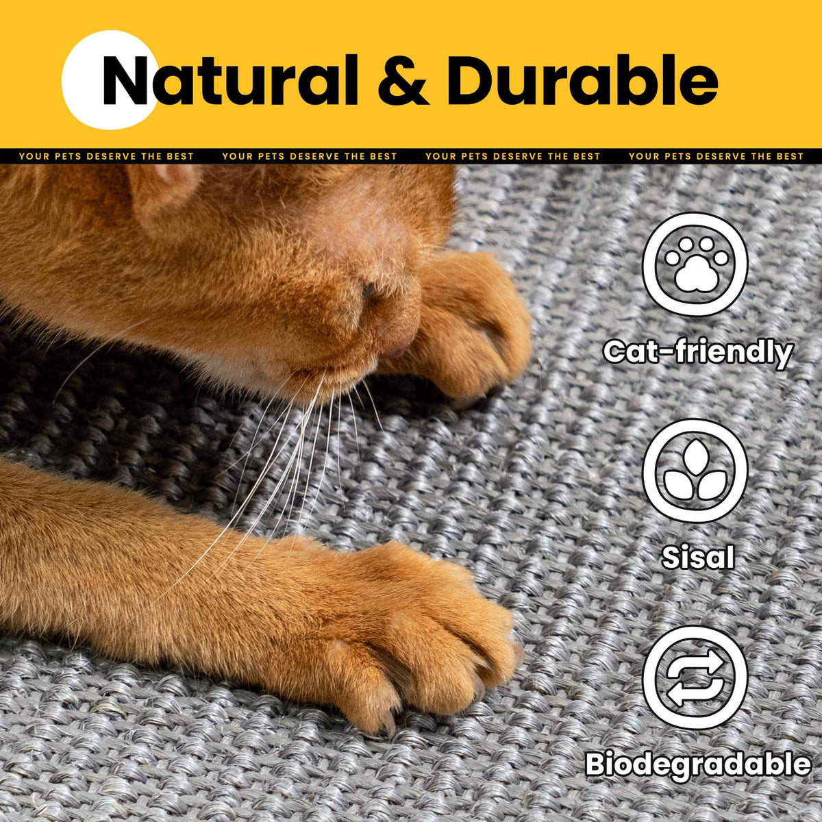 Cat Scratching Mat