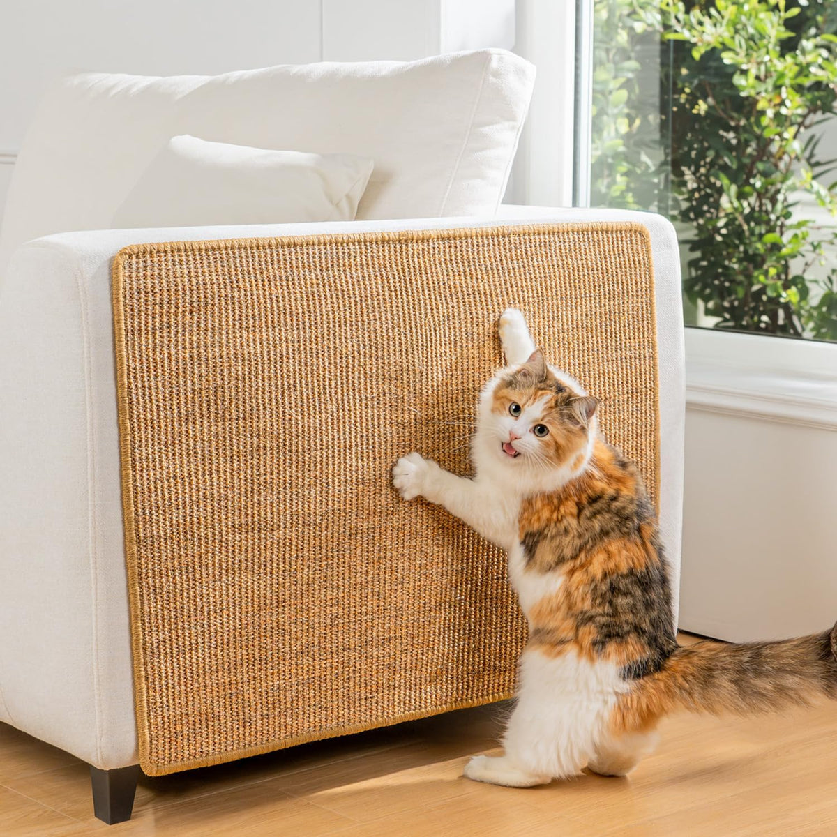 Cat Scratching Mat
