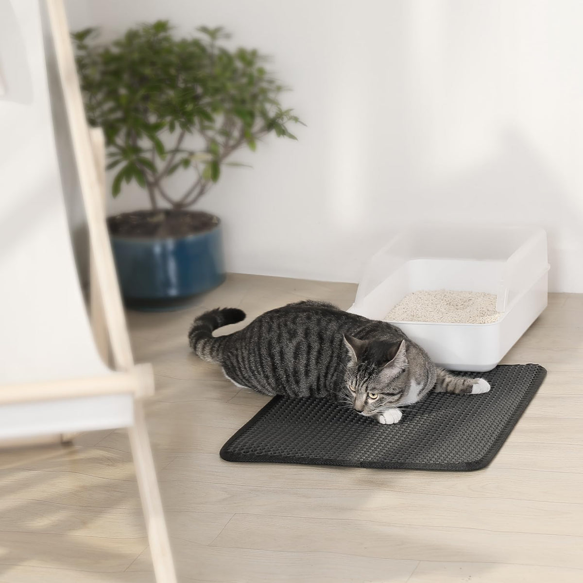 EVA Waterproof Double-Layer Cat Litter Mat with Raised Front Lip