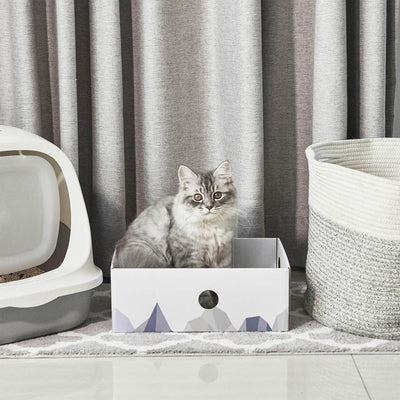 Cat Scratcher Box