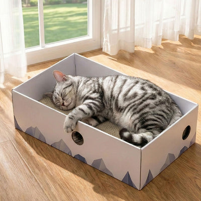 Cat Scratcher Box