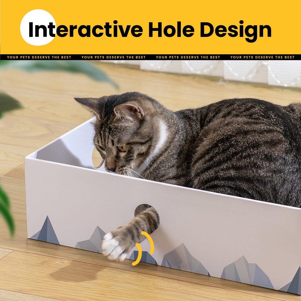Cat Scratcher Box