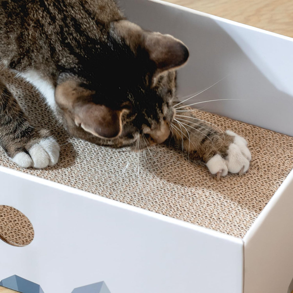 Cat Scratcher Box